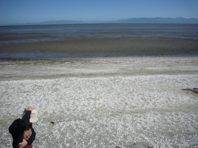 Travel - New Zealand - North West and Farewell Spit
